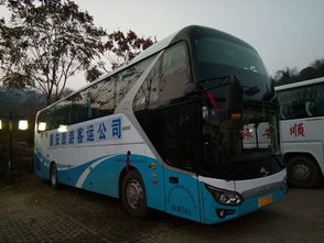 隨心所馭，奢享旅程 順安旅游包車，開啟您的豪華遠足新篇章
