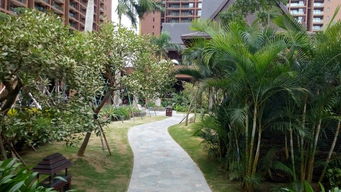 三亞五天包車自助游 自由馳騁，盡享熱帶風情